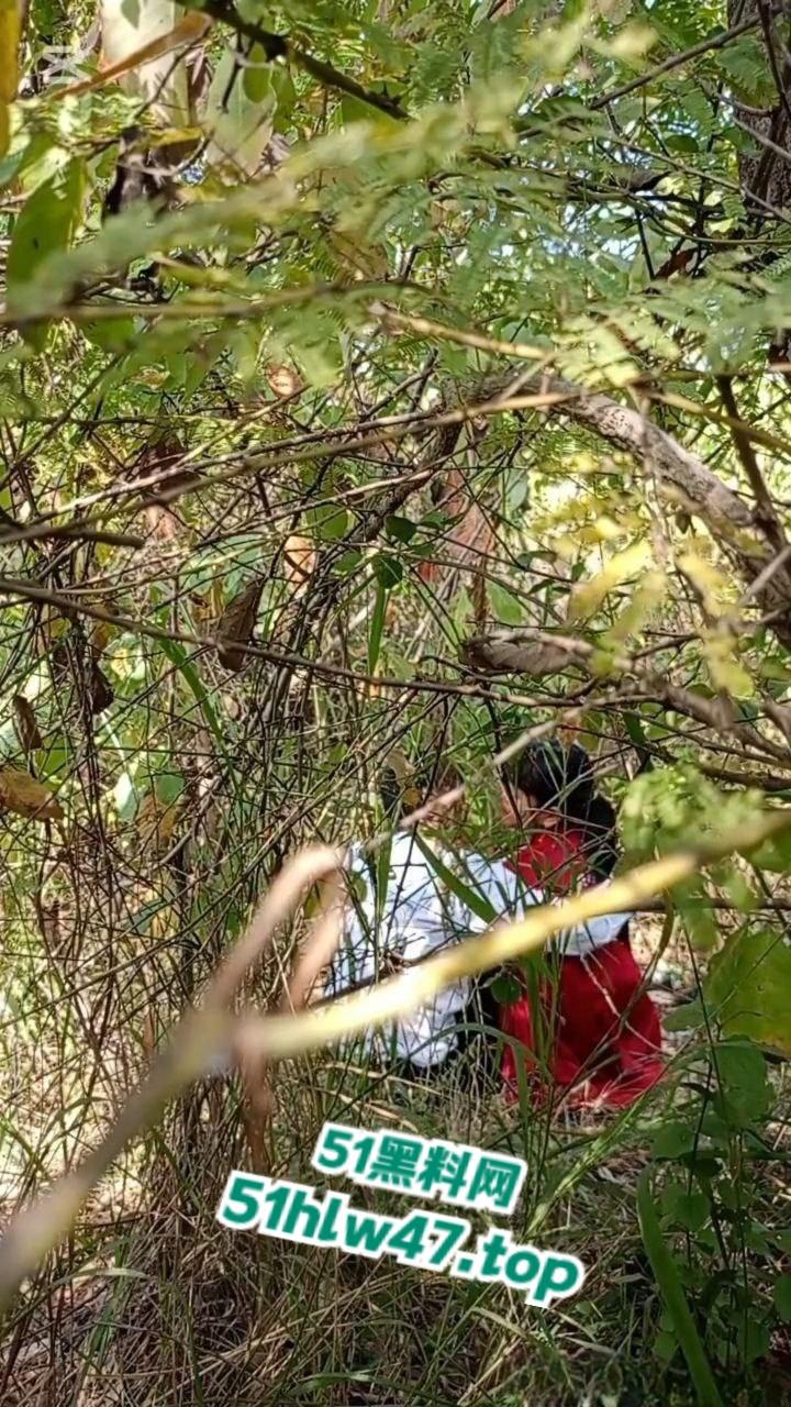 情侣景区小树林露天野战被偷拍，景区小树林里操逼，裸露下体疯狂动鸡刺激中出小骚逼。-3