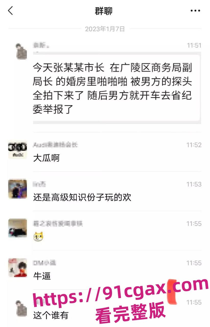 扬州市副市长张礼涛在扬州广陵区商务局副局长戴璐的婚房里发生性行为！-3