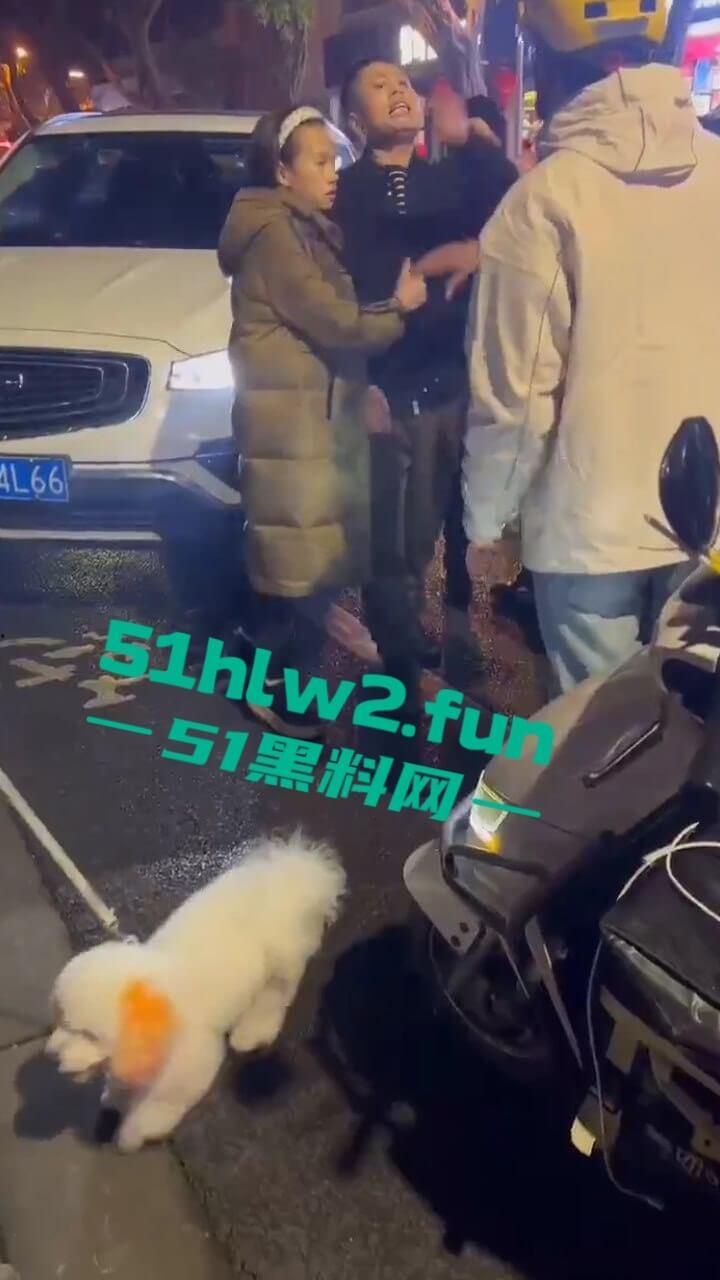 四川乐山奇葩男女，开个破吉利撞到外卖员下车辱骂对方，称自己是有钱人这逼装的能给满分。-4