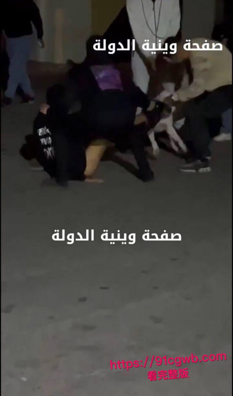 简直是看得蛋疼！黎巴嫩贝鲁特街头小伙裤裆惨遭比特犬幼犬狂咬！睾丸被生生扯出伤口血肉模糊低吟求救全过程偷拍视频疯传-1