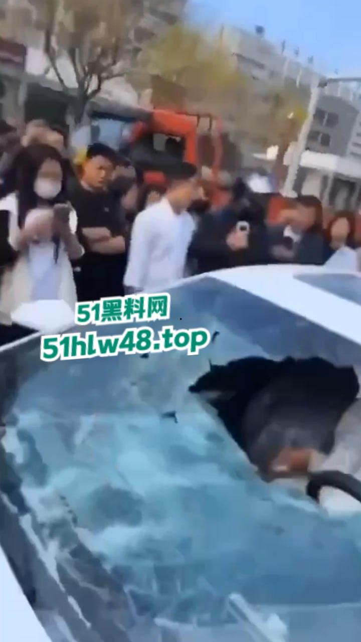 河北邢台最蠢原配，带姐妹家人砸车抓小三被吓的车里不敢出来，结果被玻璃划伤原配遭刑拘。-3