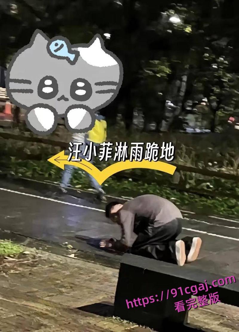 汪小菲被曝结婚第二年就偷情 假装深情怀念亡妻 却被小三曝光出轨视频-7